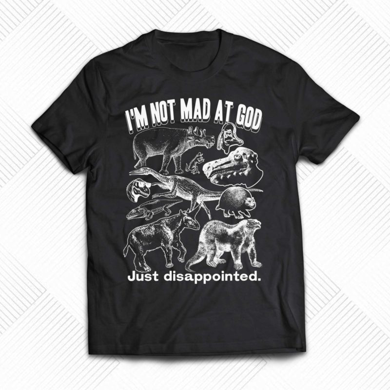 im not mad at god just disappointed shirt 1 1