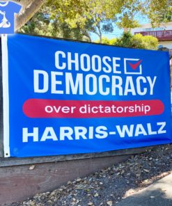 choose democracy over dictatorship harris walz flag