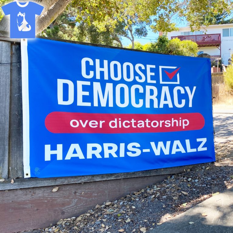 choose democracy over dictatorship harris walz flag